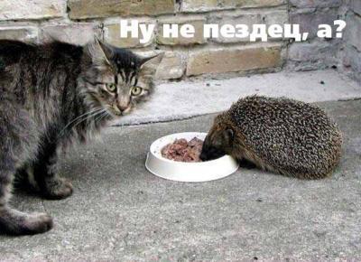 Прикрепленное изображение: post-2-1127412219.jpg